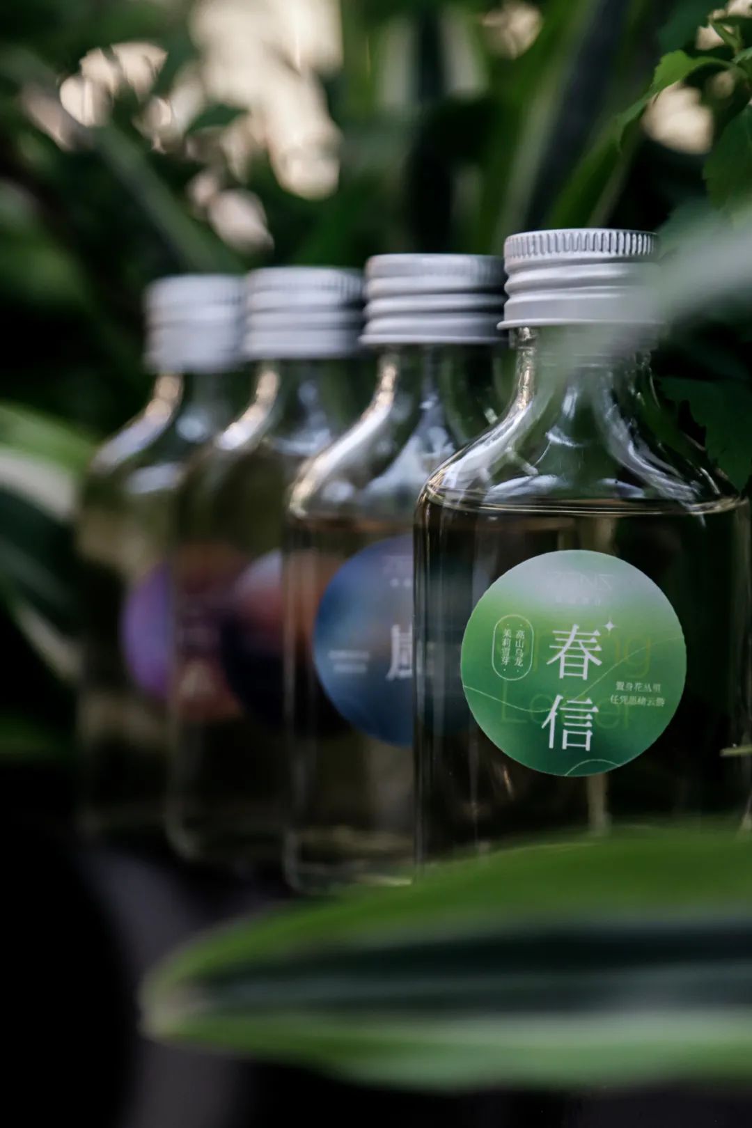 我们决定,把竹林搬进茶厅。(图14) 我们决定,把竹林搬进茶厅。(图14)