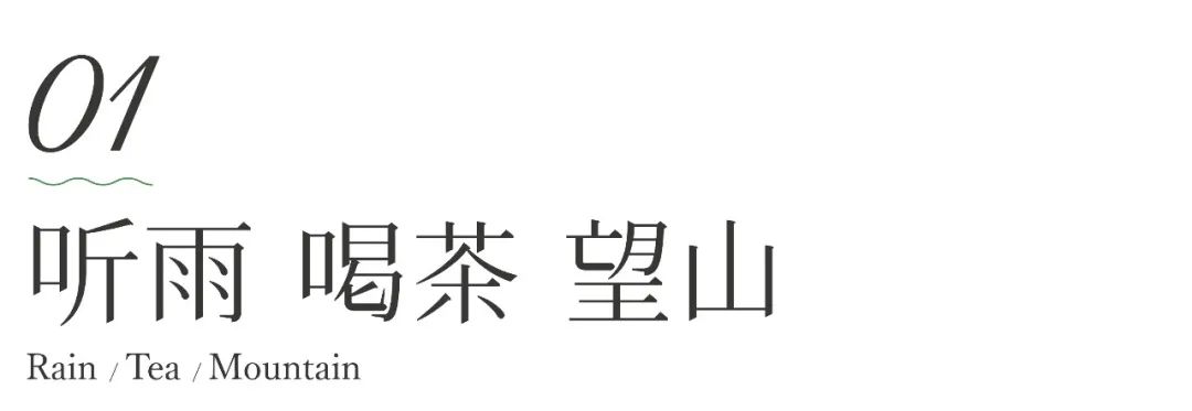 茶山行 | 在1000米的云雾之上(图3)