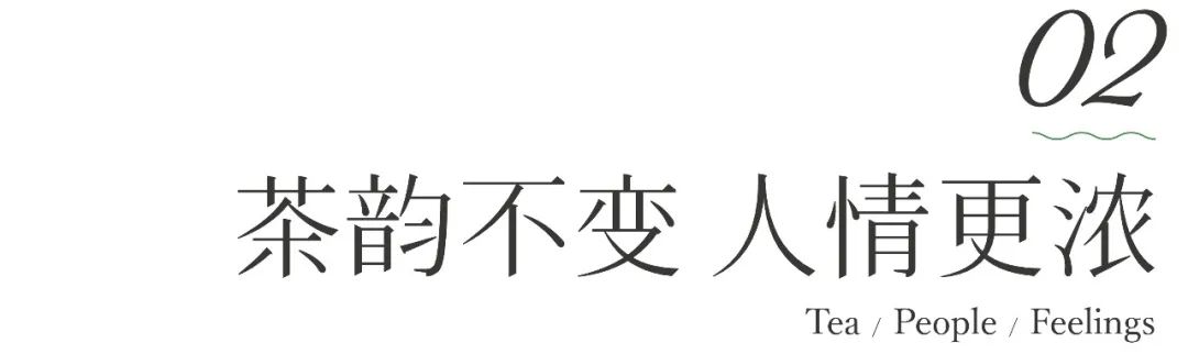茶山行 | 在1000米的云雾之上(图6)