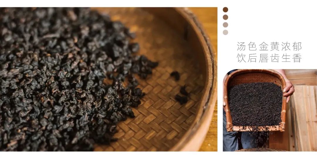 茶山行 | 在1000米的云雾之上(图7)