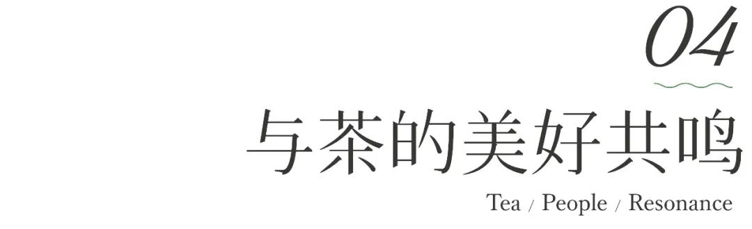 茶山行 | 在1000米的云雾之上(图13)
