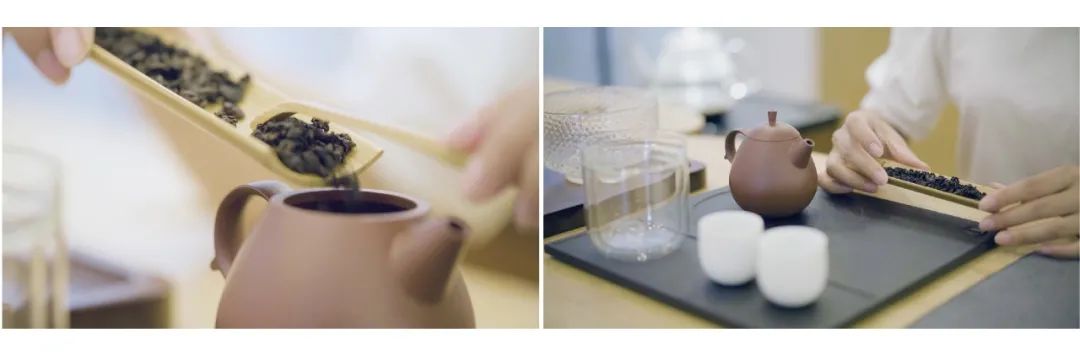 茶山行 | 在1000米的云雾之上(图14)